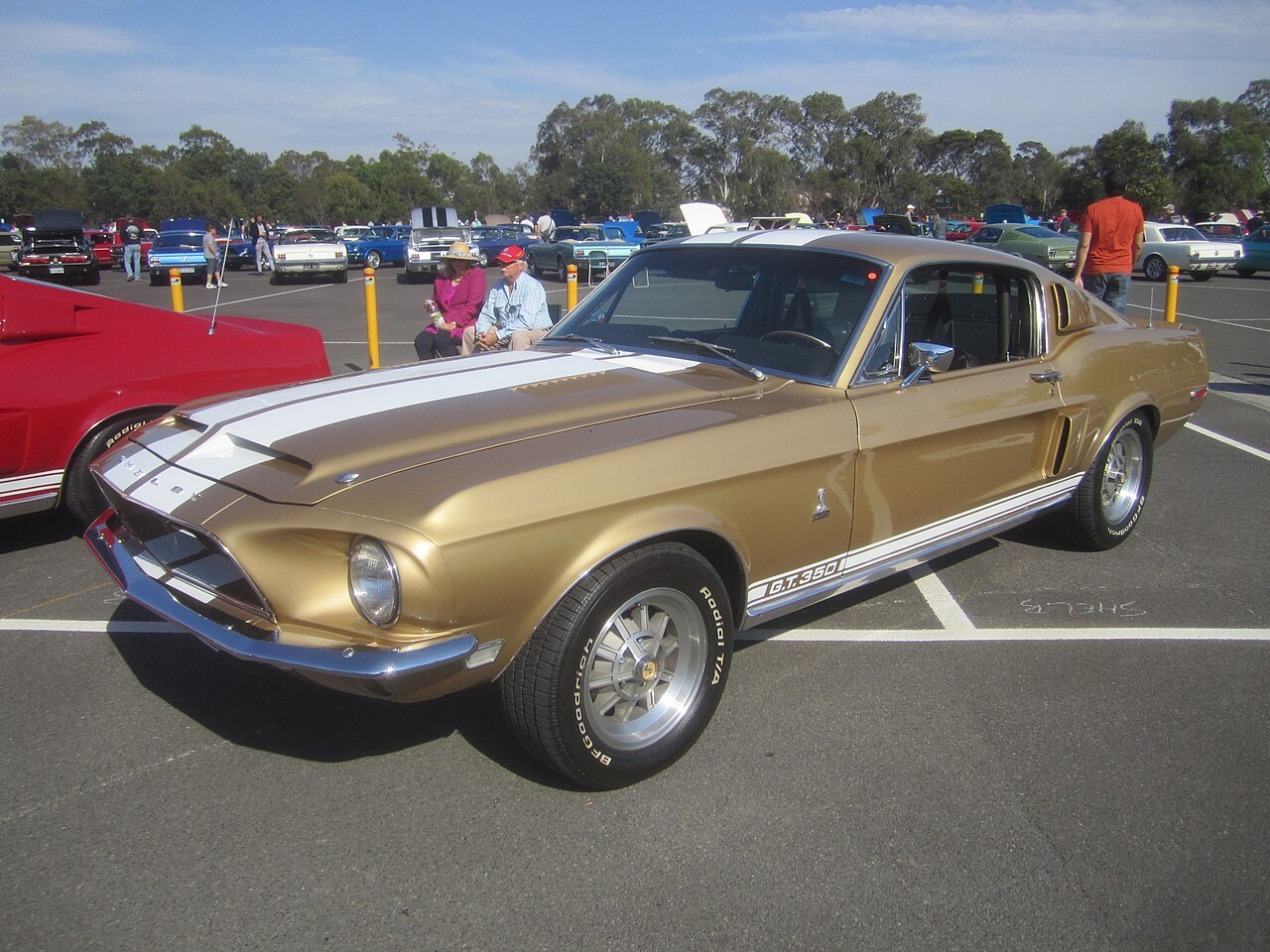 Shelby Mustang