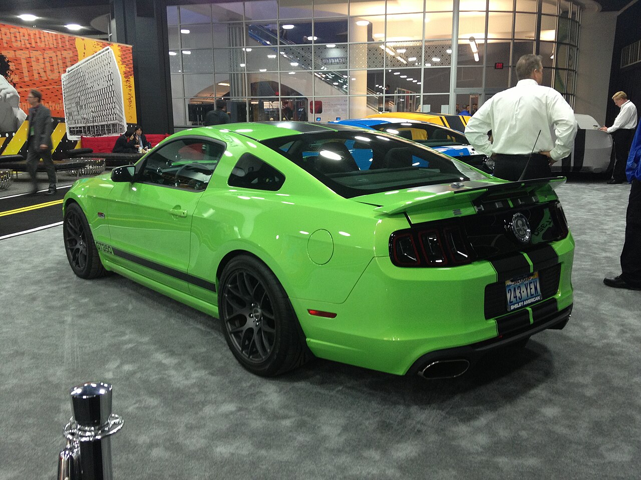 Shelby Mustang