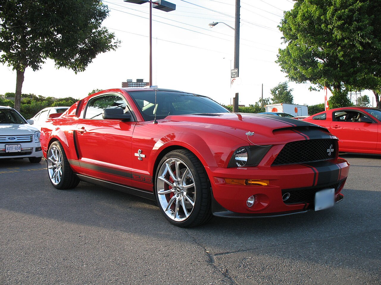 Shelby Mustang