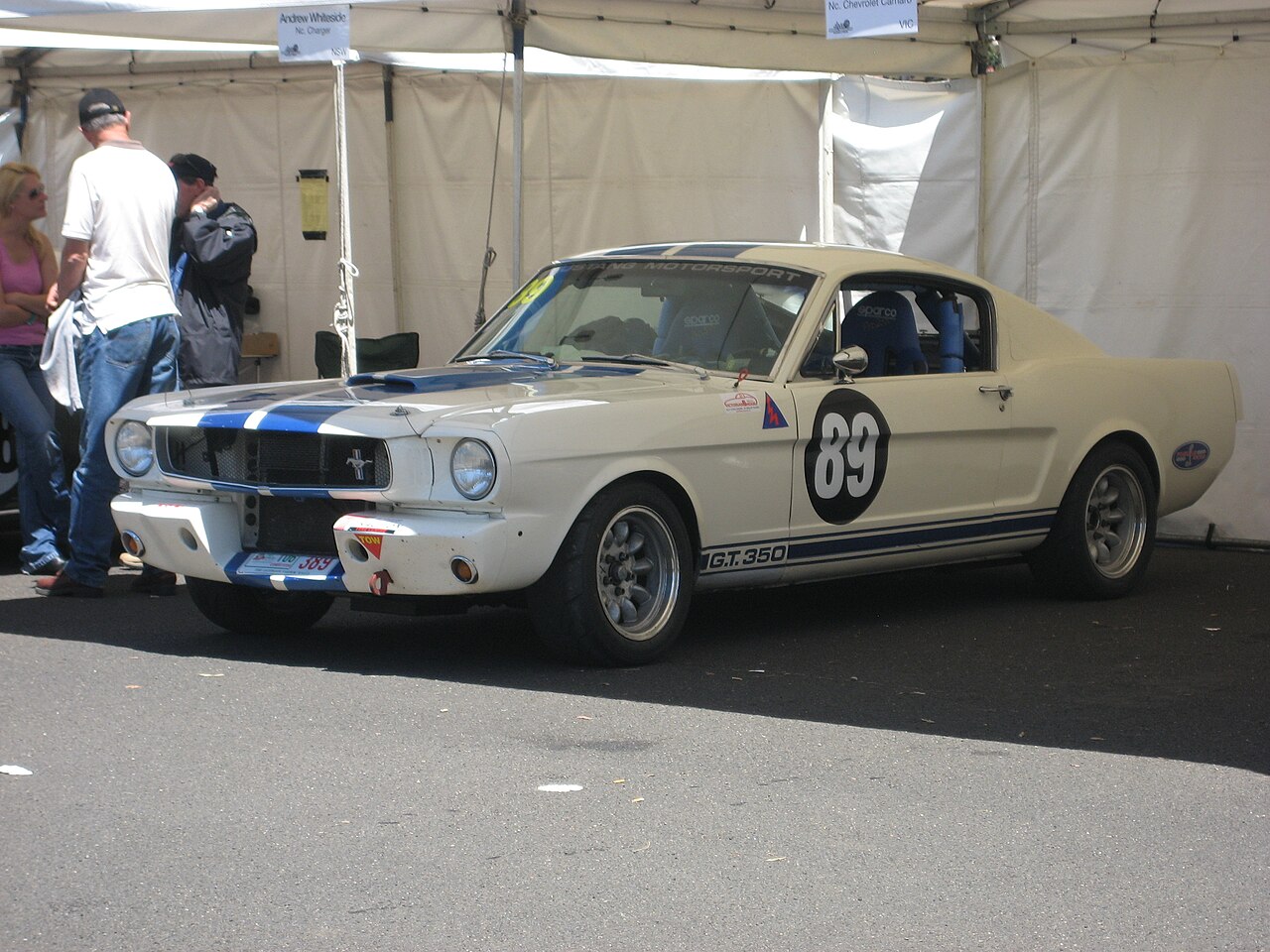 Shelby Mustang