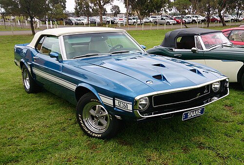 Shelby Mustang