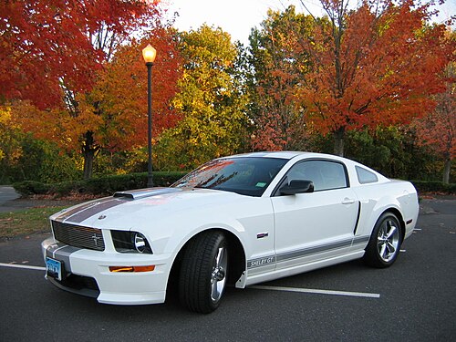 Shelby Mustang
