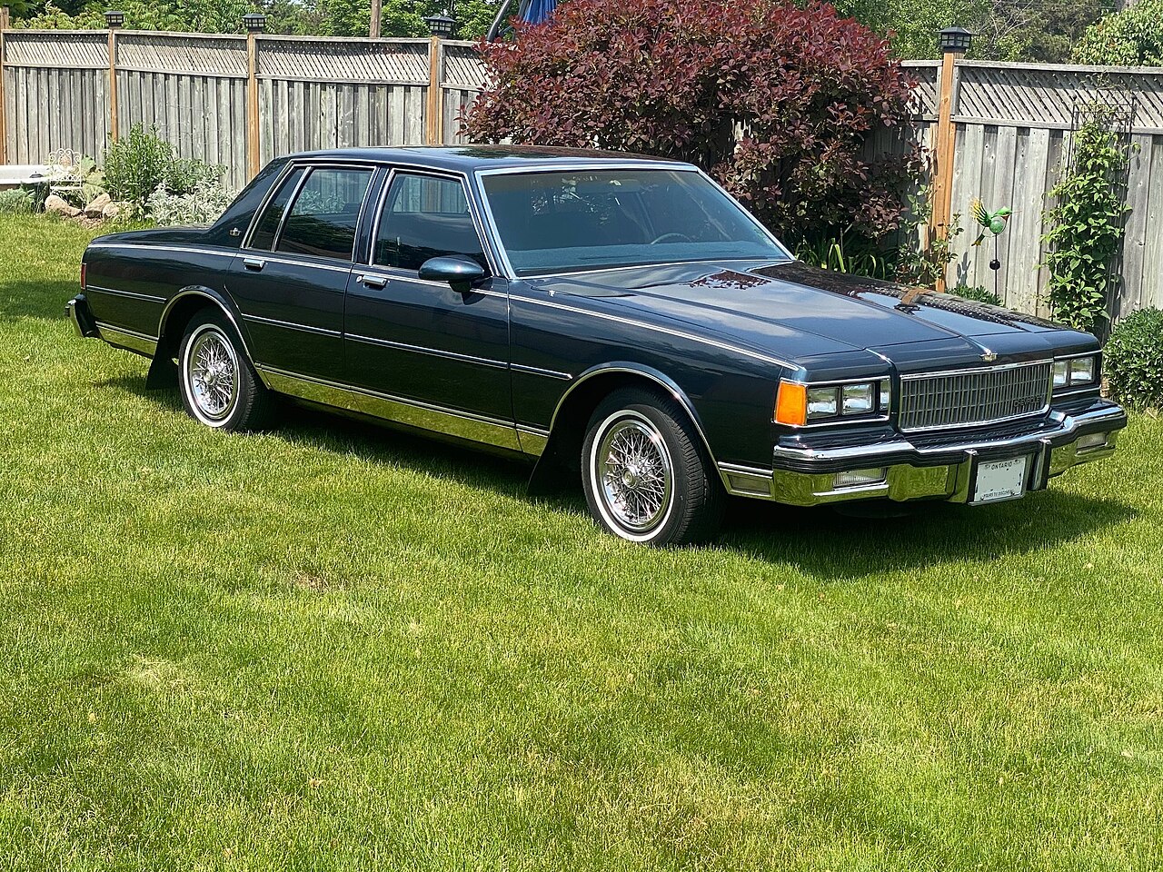 Chevrolet Caprice 1965–1996, 2000–2017 (Holden)