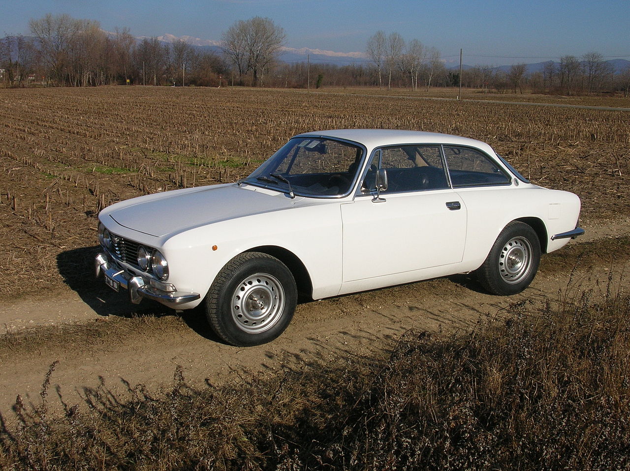 Alfa Romeo 105/115 serisi coupés 1963-1977