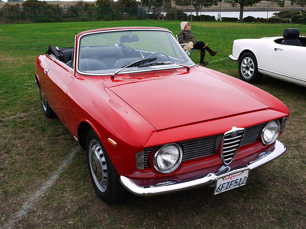 Alfa Romeo 105/115 serisi coupés 1963-1977