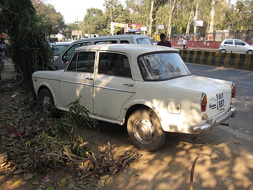Açıklama: Padmini Patna 1