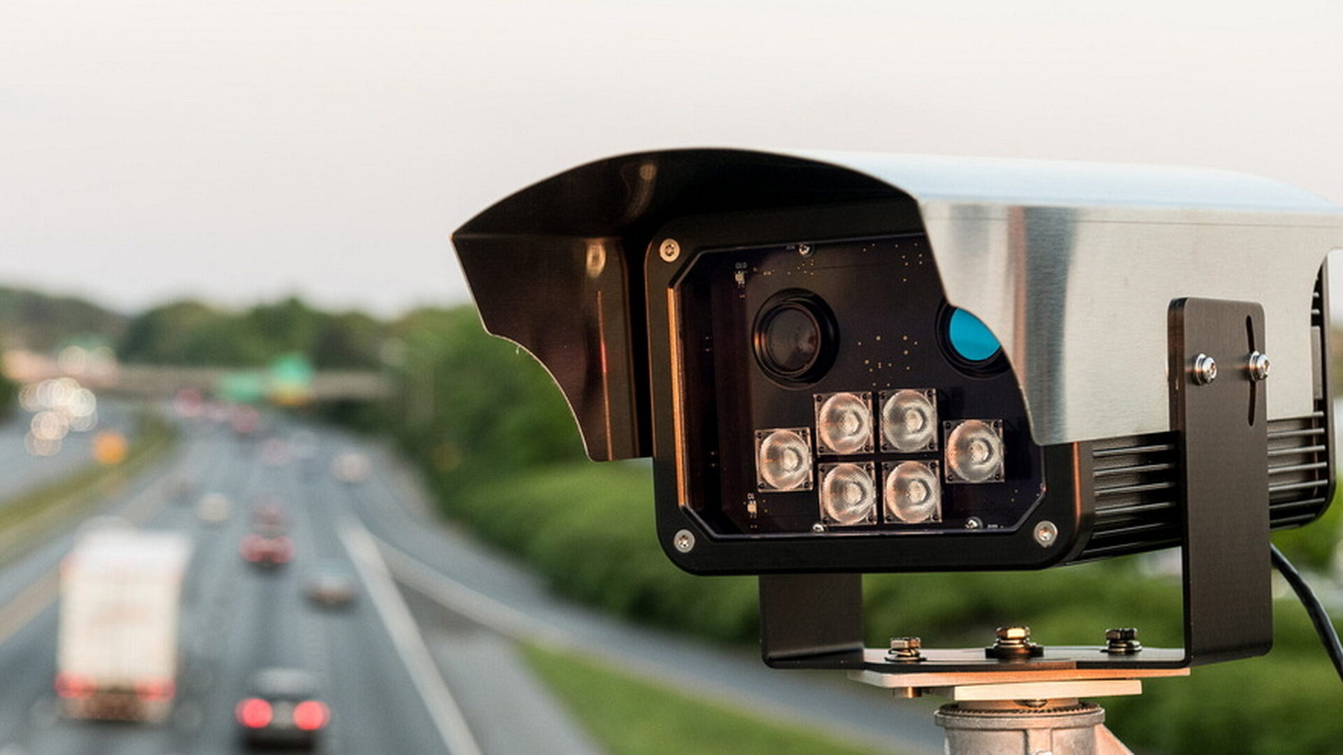 Your Dog’s Collar And Your Phone Could Now Tie You To Your License Plate In Maryland