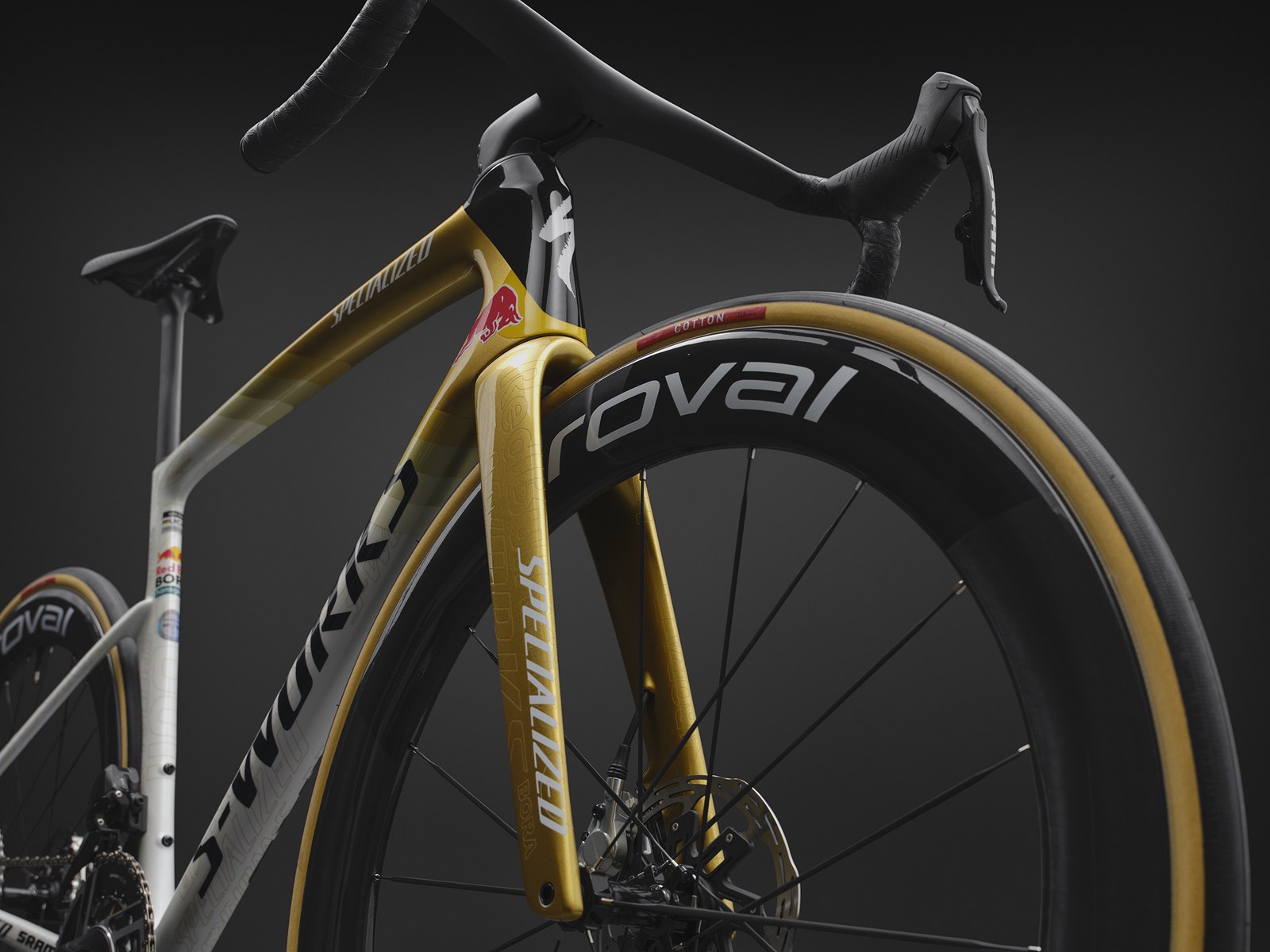 Specialized S-Works Tarmac SL9 Remco