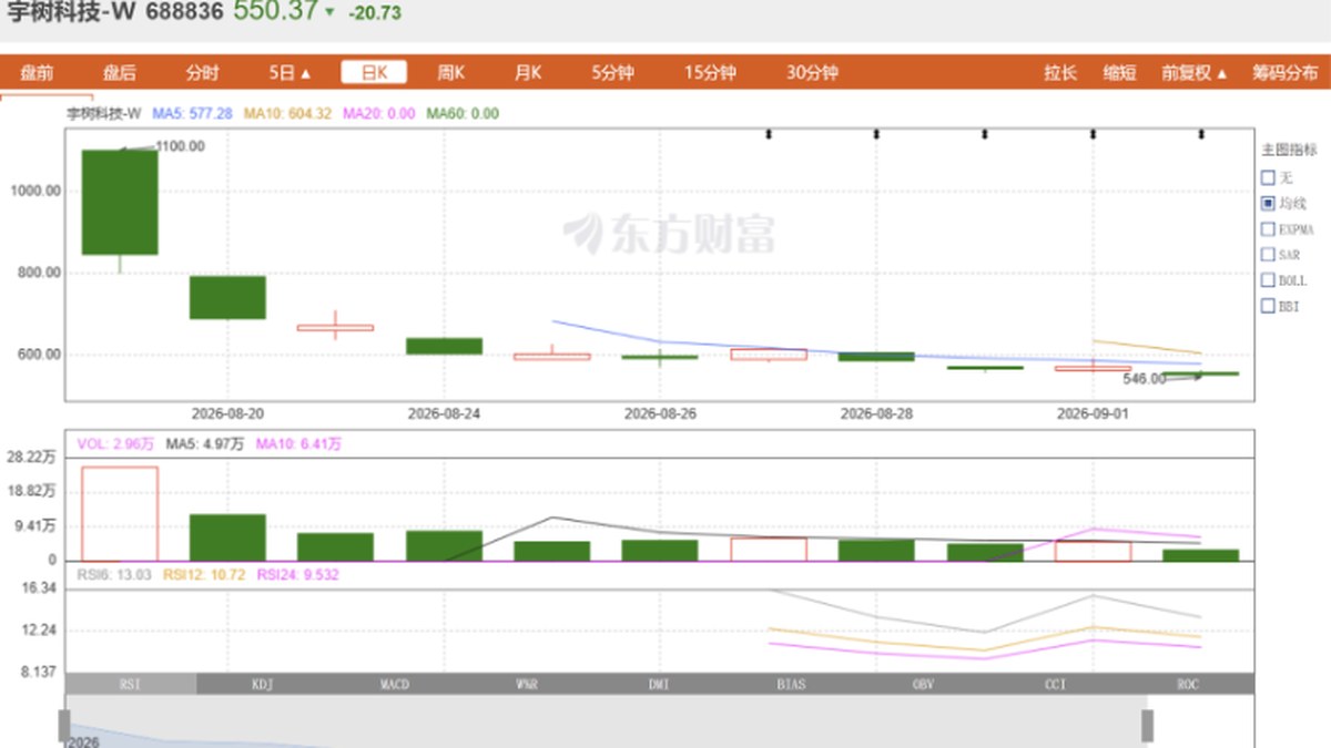 Unitree Stock Price 'Halves'