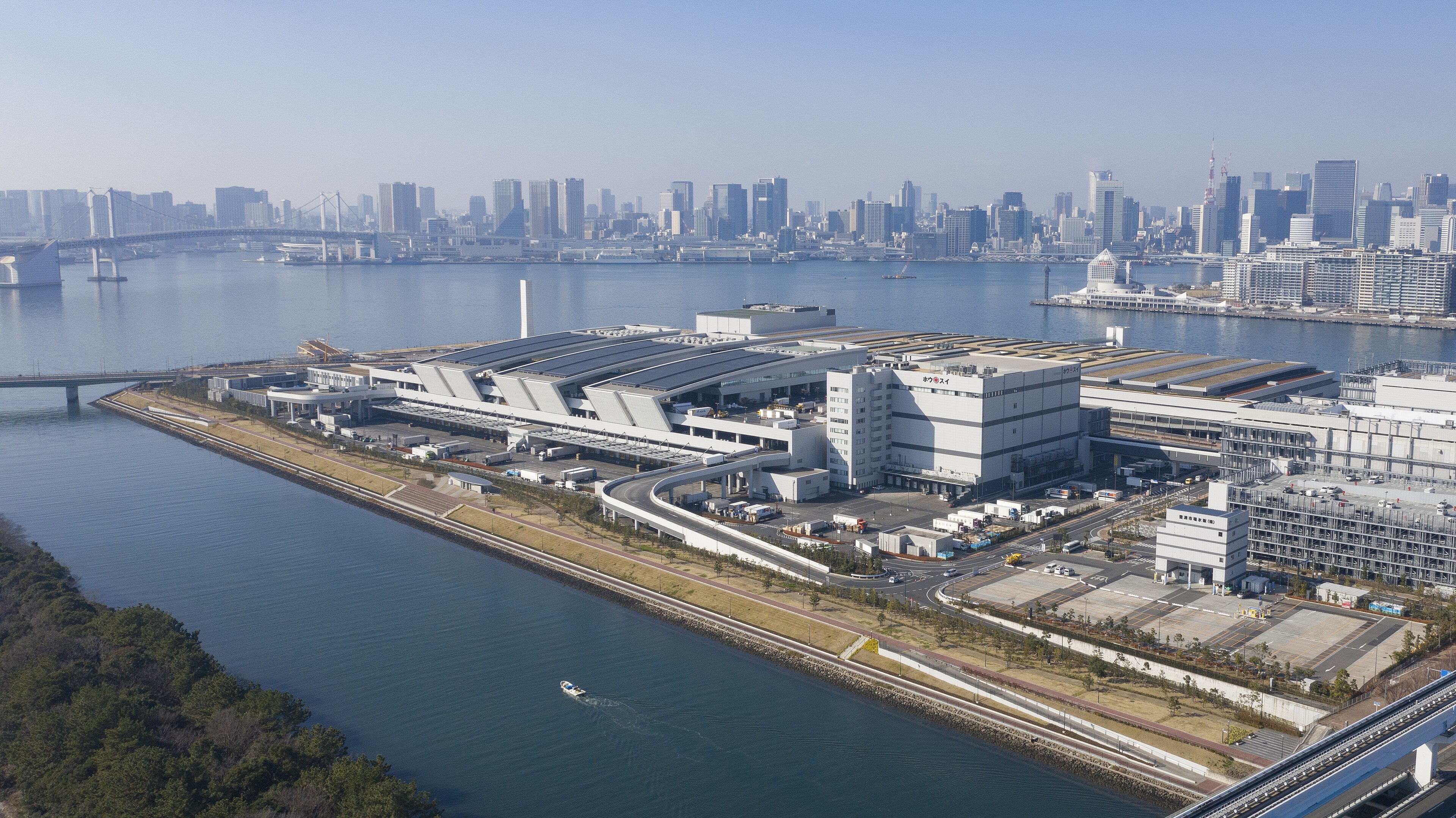 Toyosu Pazarı