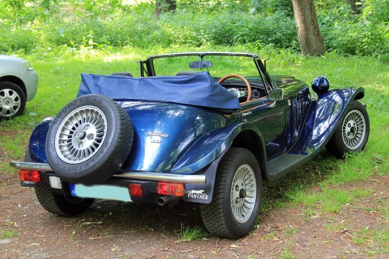 Panther Kallista