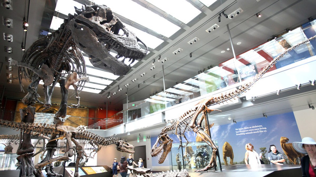 Scientists Discover T. Rex Blood Was As Hot As Human Blood, Suggesting They Were Fast-Running Predators