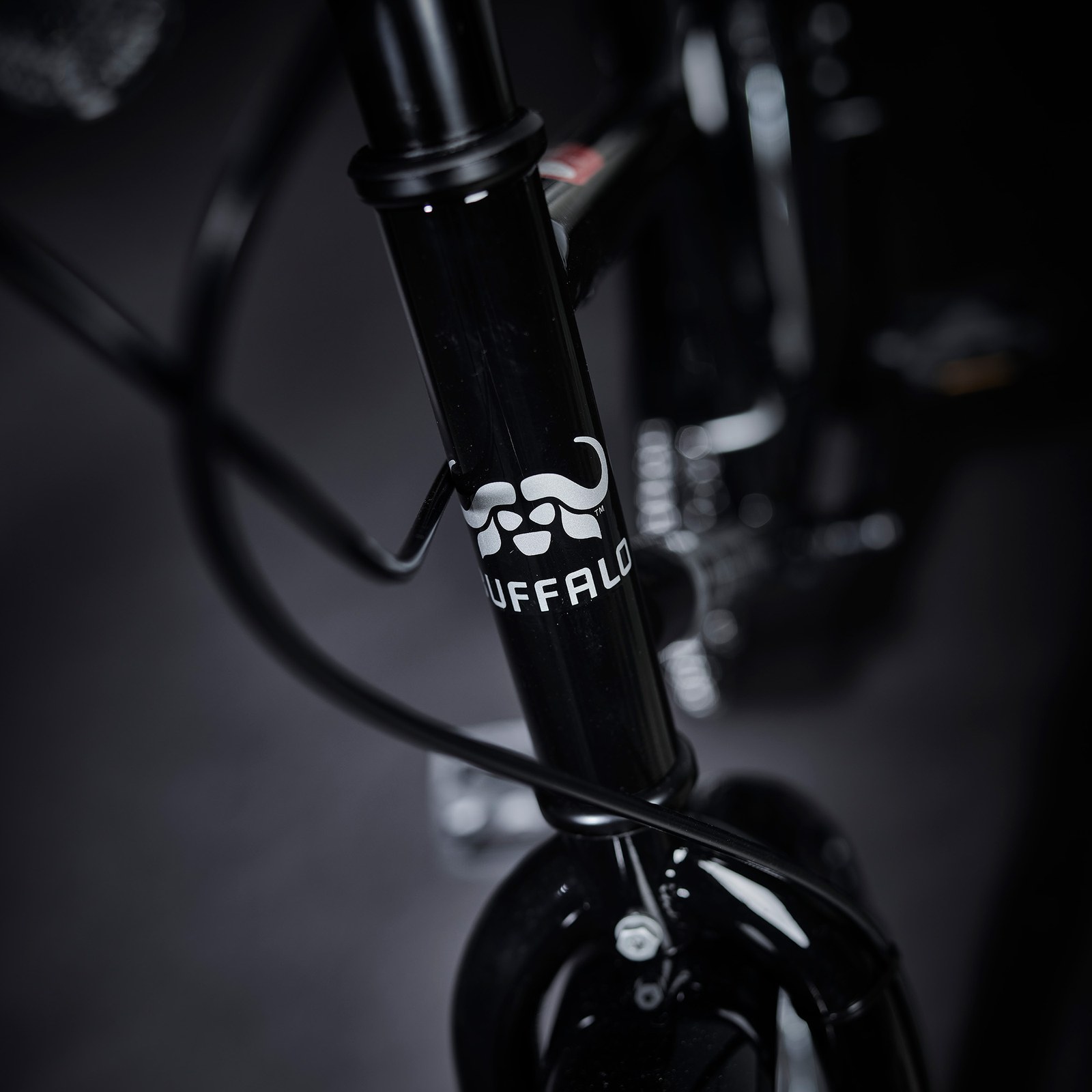 Buffalo Pro bike headtube.