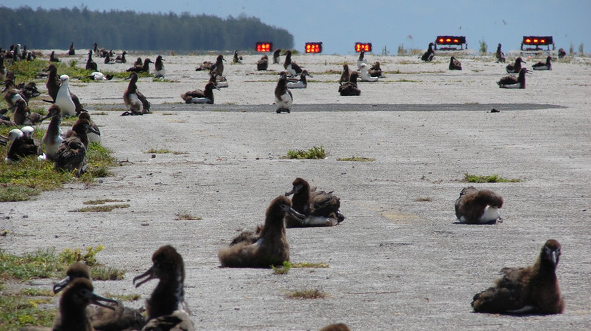 One Of The World's Most Remote Airports Is At Risk Of Closing, Jeopardizing Transpacific Flights