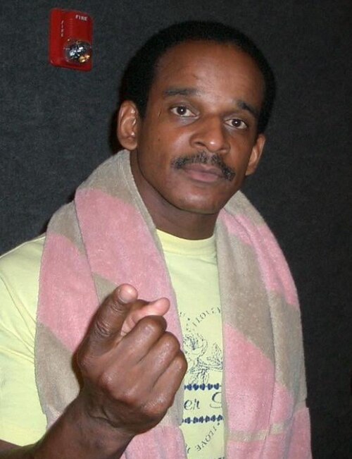 Norman Smiley circa 2003 (cropped)